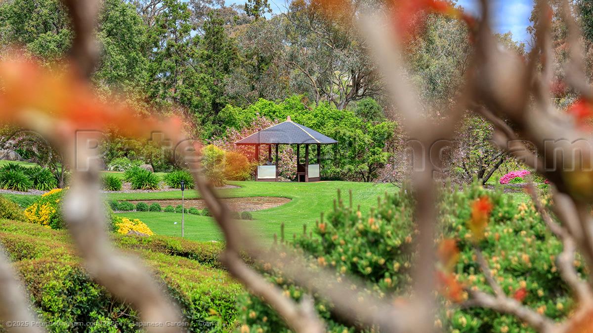 Peter Bellingham Photography Japanese Garden - Cowra